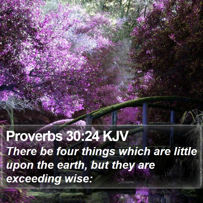 Proverbs 30:24 KJV Bible Study