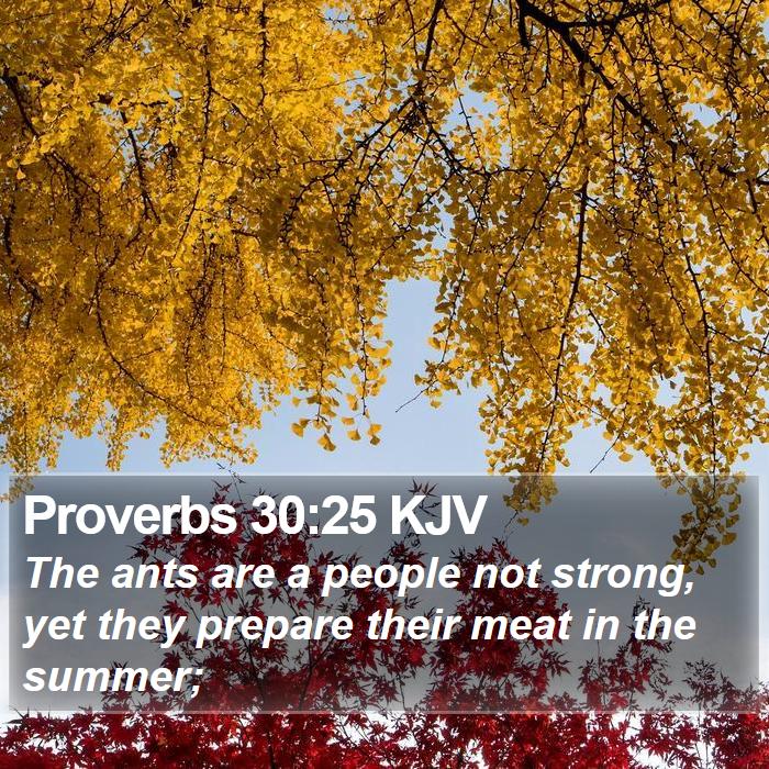 Proverbs 30:25 KJV Bible Study