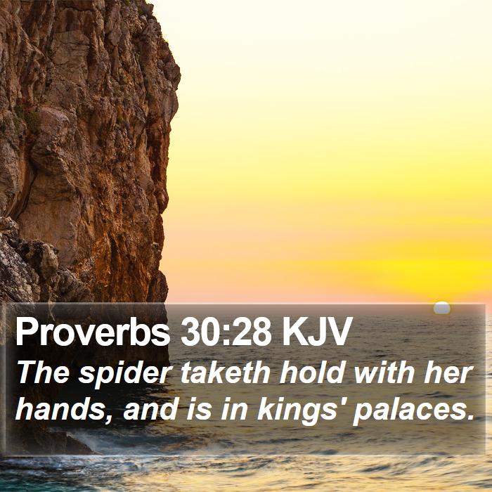 Proverbs 30:28 KJV Bible Study