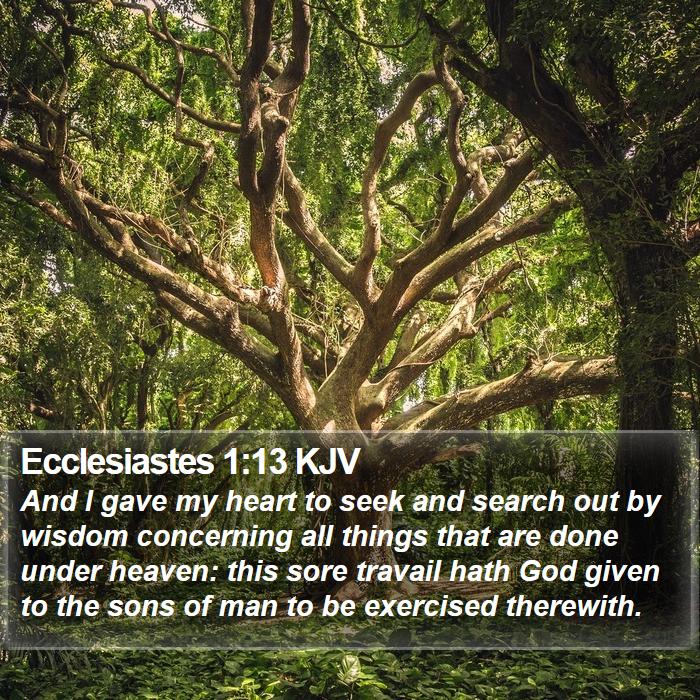 Ecclesiastes 1:13 KJV Bible Study