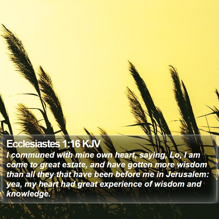 Ecclesiastes 1:16 KJV Bible Study