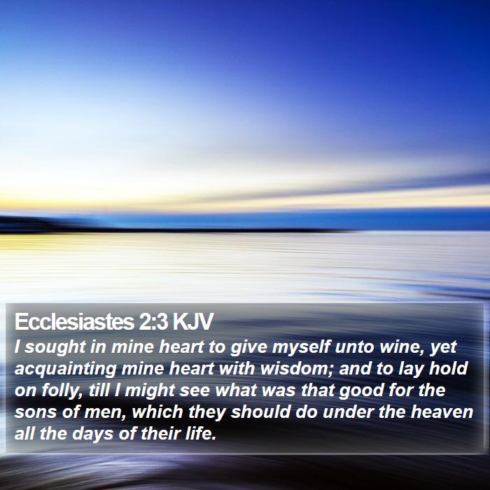 Ecclesiastes 2:3 KJV Bible Study