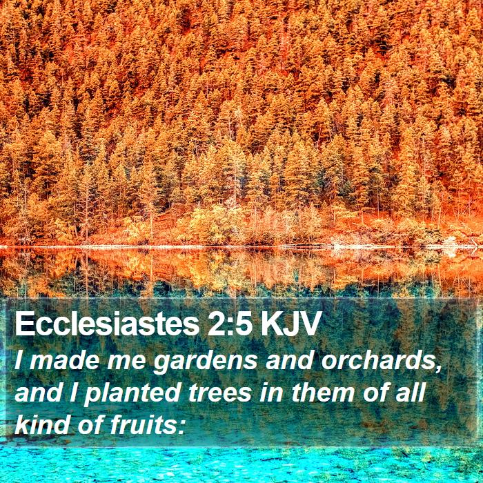 Ecclesiastes 2:5 KJV Bible Study