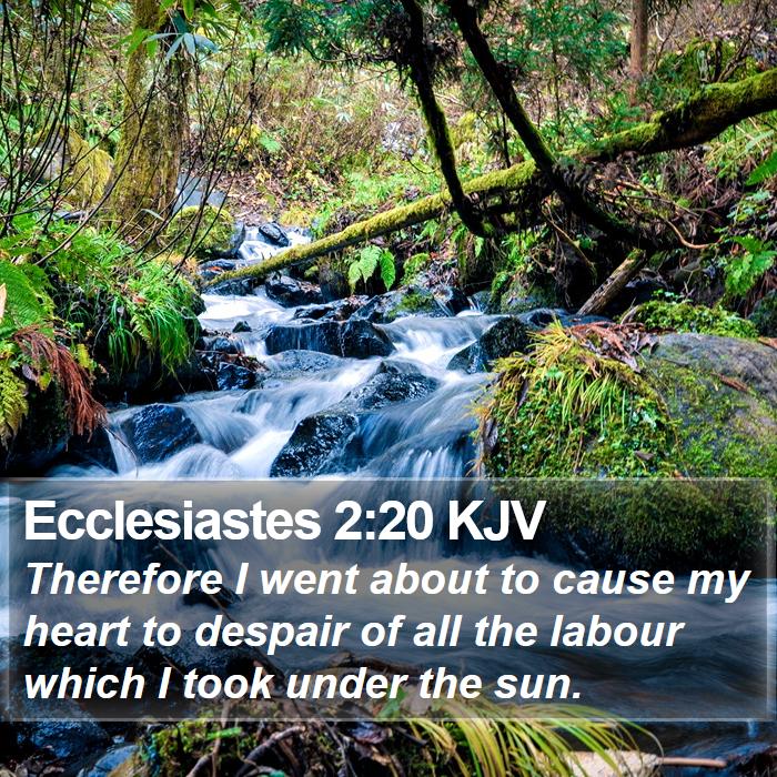 Ecclesiastes 2:20 KJV Bible Study