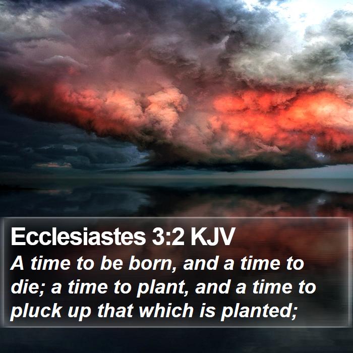 Ecclesiastes 3:2 KJV Bible Study