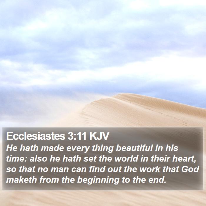 Ecclesiastes 3:11 KJV Bible Study