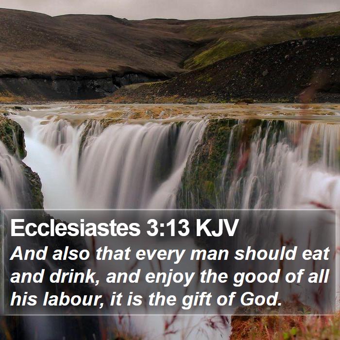 Ecclesiastes 3:13 KJV Bible Study