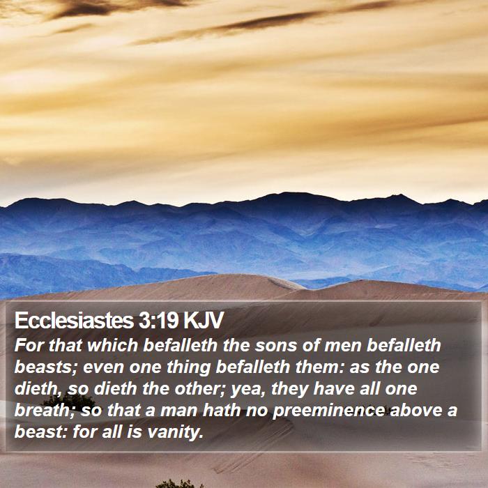 Ecclesiastes 3:19 KJV Bible Study