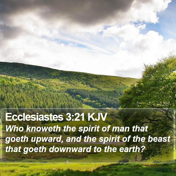 Ecclesiastes 3:21 KJV Bible Study