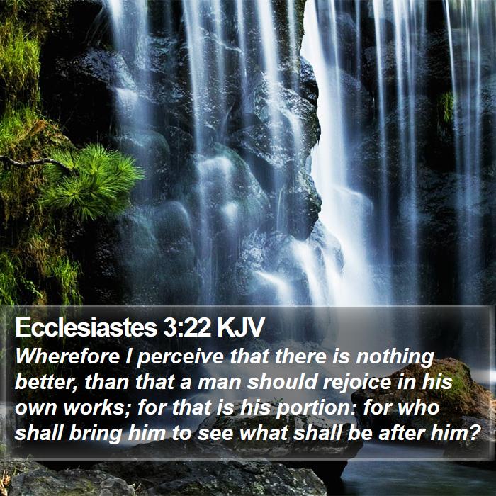 Ecclesiastes 3:22 KJV Bible Study