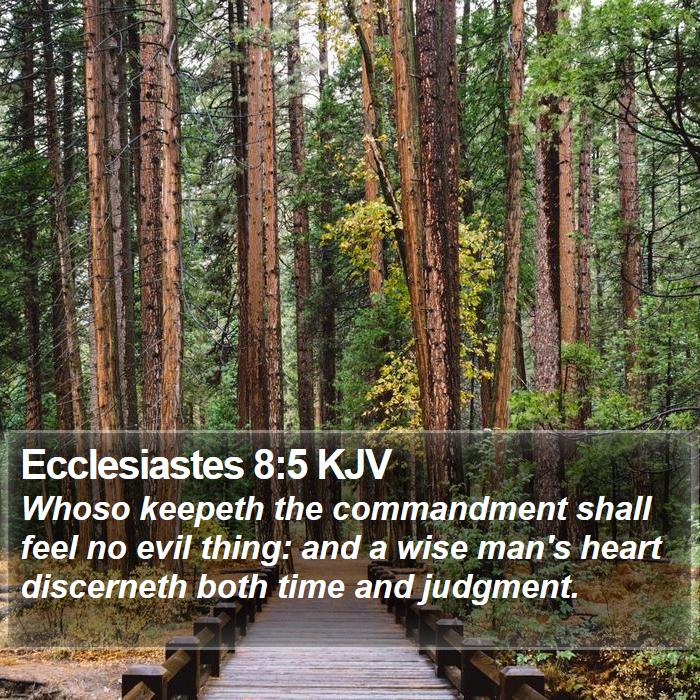 Ecclesiastes 8:5 KJV Bible Study