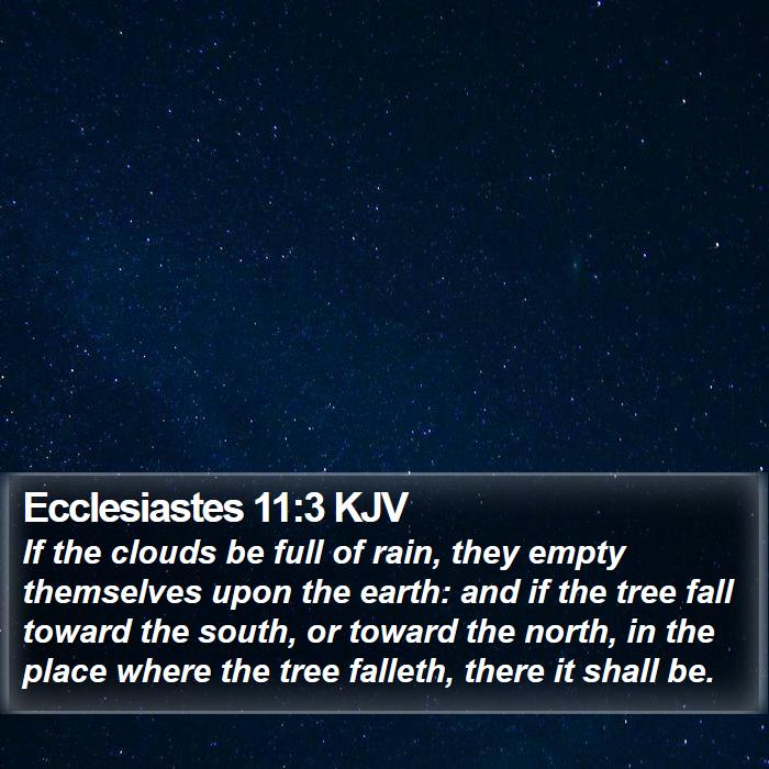 Ecclesiastes 11:3 KJV Bible Study