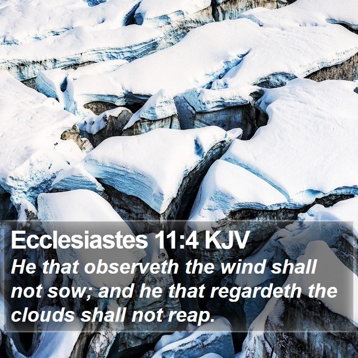 Ecclesiastes 11:4 KJV Bible Study