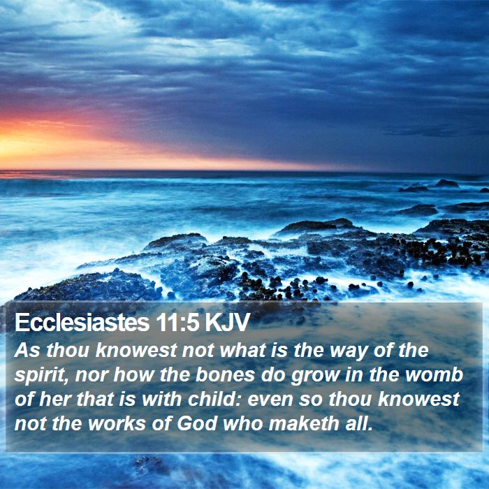 Ecclesiastes 11:5 KJV Bible Study