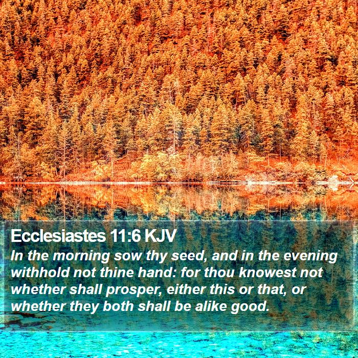 Ecclesiastes 11:6 KJV Bible Study