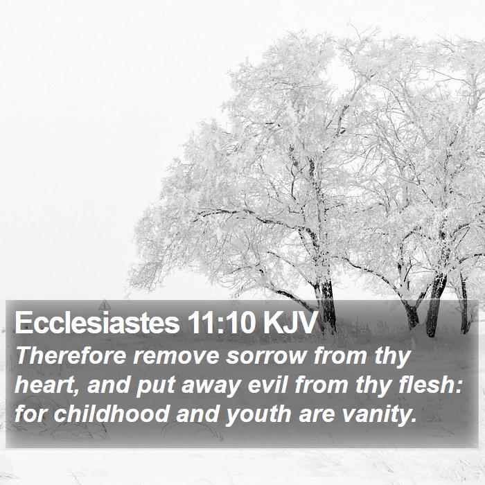 Ecclesiastes 11:10 KJV Bible Study