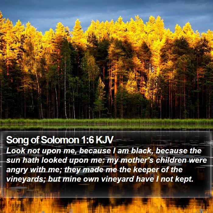 Song of Solomon 1:6 KJV Bible Study