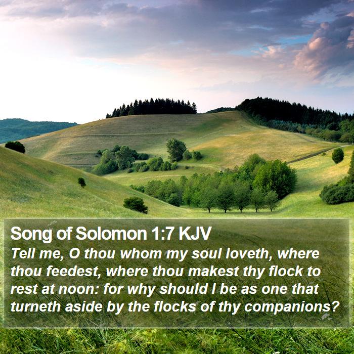 Song of Solomon 1:7 KJV Bible Study