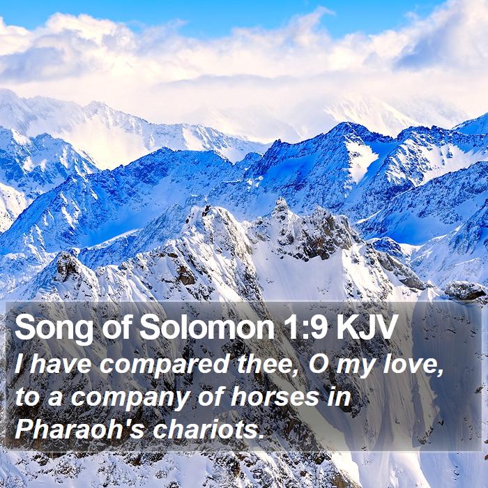 Song of Solomon 1:9 KJV Bible Study