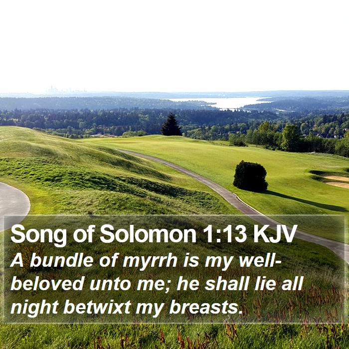 Song of Solomon 1:13 KJV Bible Study