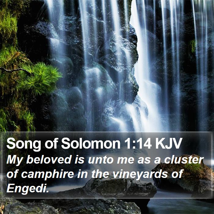 Song of Solomon 1:14 KJV Bible Study