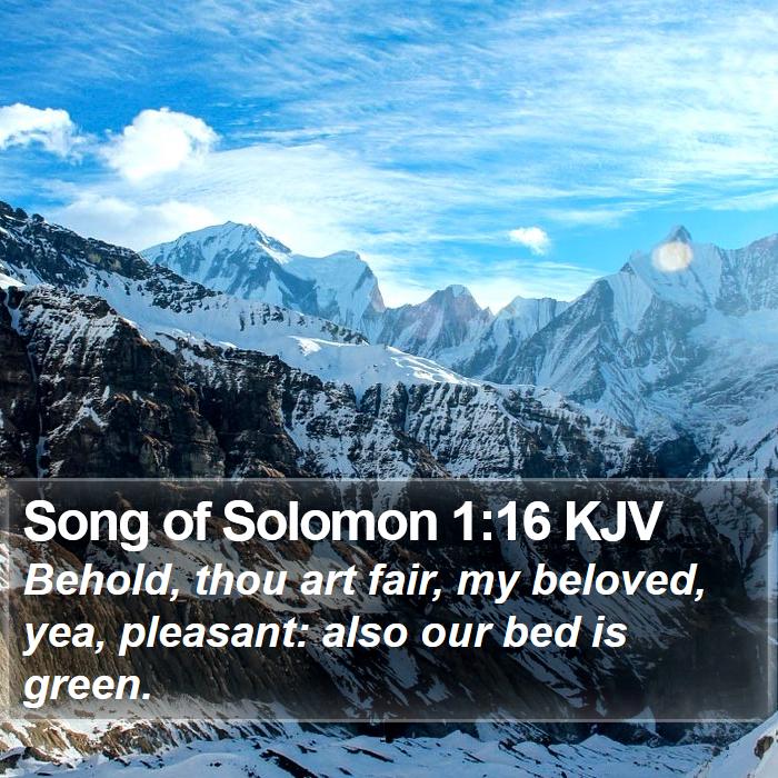 Song of Solomon 1:16 KJV Bible Study