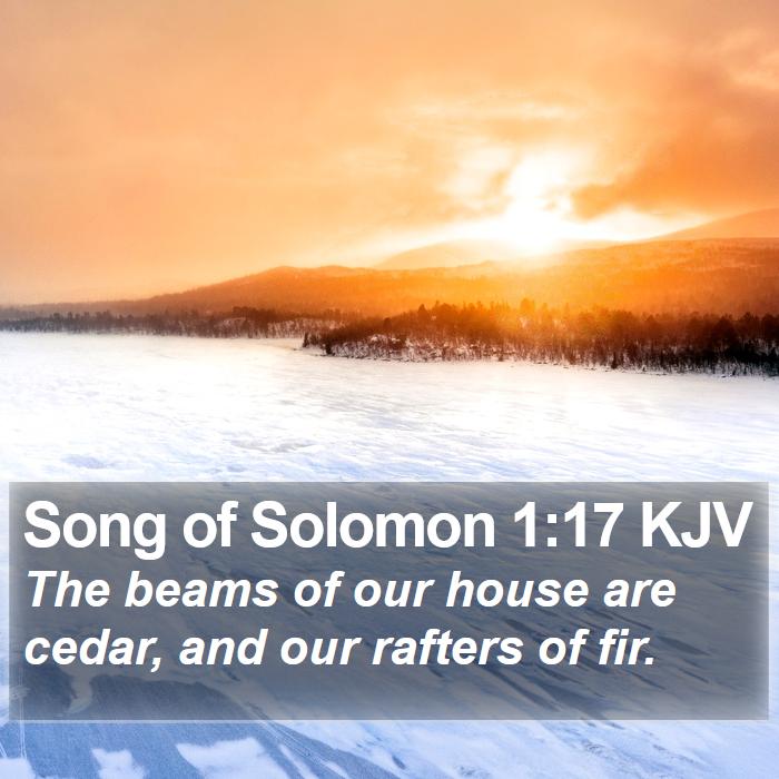 Song of Solomon 1:17 KJV Bible Study