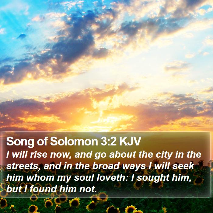 Song of Solomon 3:2 KJV Bible Study