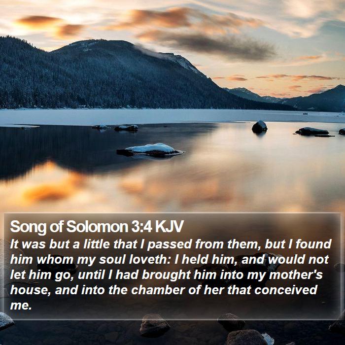 Song of Solomon 3:4 KJV Bible Study