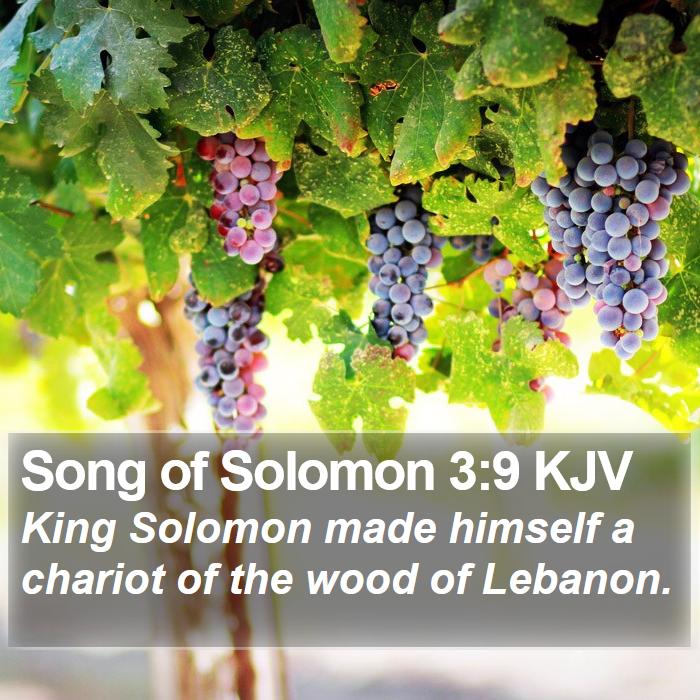 Song of Solomon 3:9 KJV Bible Study