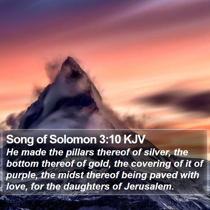 Song of Solomon 3:10 KJV Bible Study