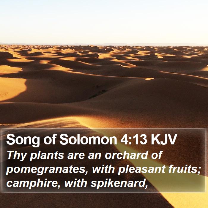 Song of Solomon 4:13 KJV Bible Study