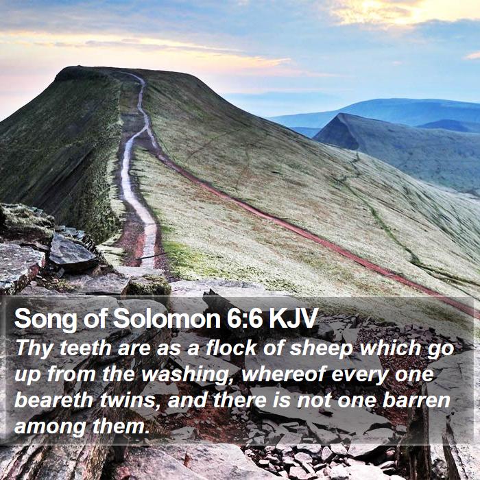 Song of Solomon 6:6 KJV Bible Study