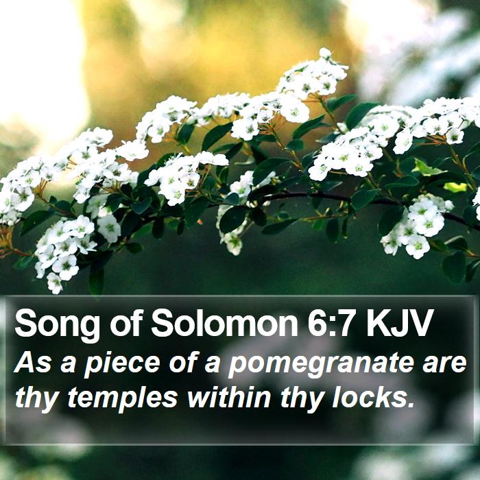 Song of Solomon 6:7 KJV Bible Study