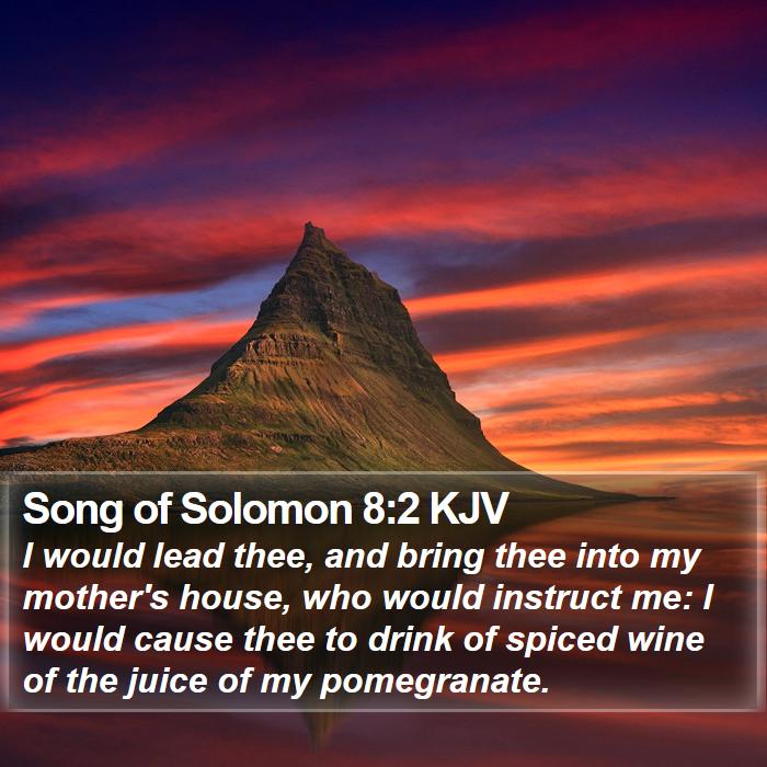 Song of Solomon 8:2 KJV Bible Study