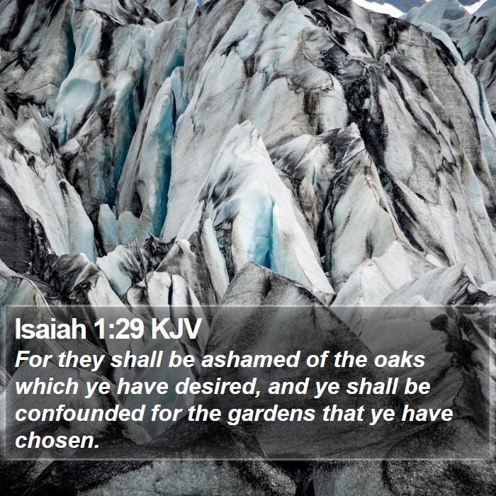 Isaiah 1:29 KJV Bible Study