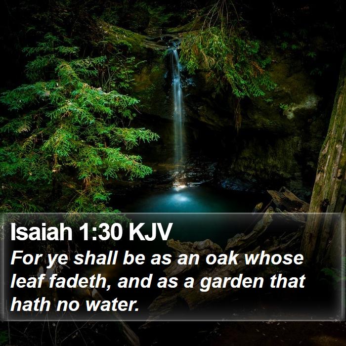 Isaiah 1:30 KJV Bible Study