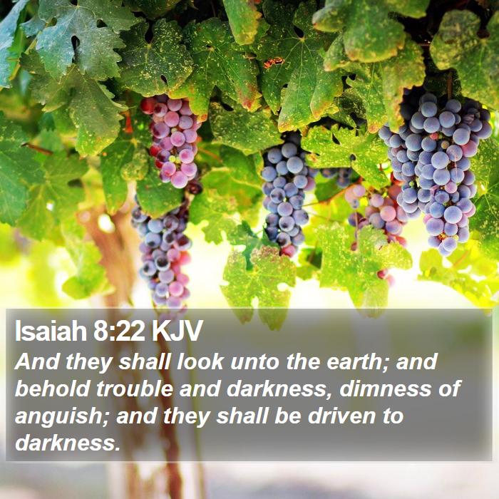 Isaiah 8:22 KJV Bible Study