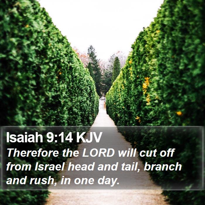 Isaiah 9:14 KJV Bible Study