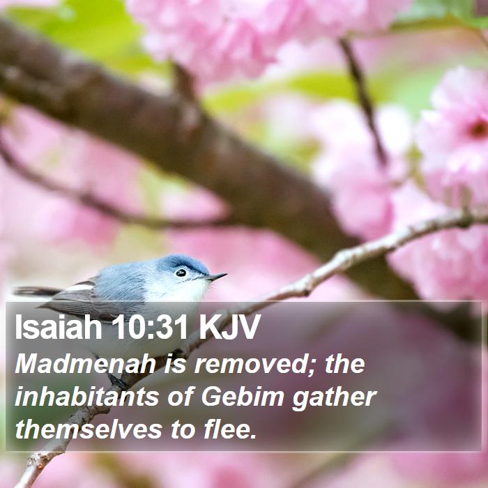 Isaiah 10:31 KJV Bible Study