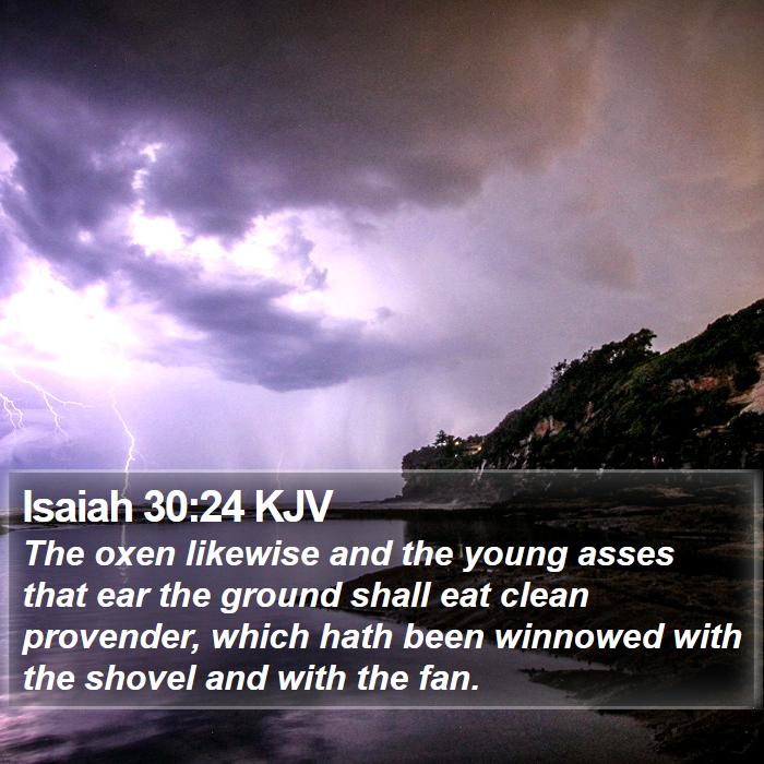 Isaiah 30:24 KJV Bible Study