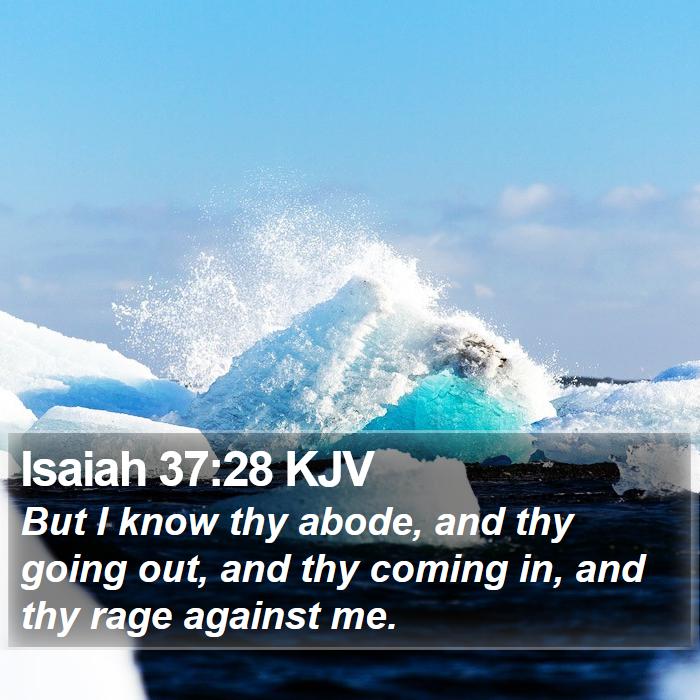 Isaiah 37:28 KJV Bible Study