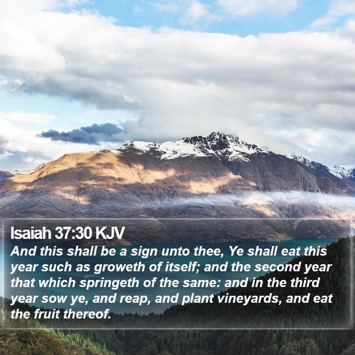 Isaiah 37:30 KJV Bible Study