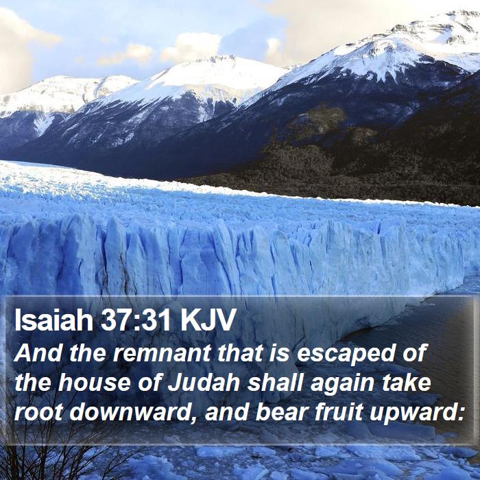 Isaiah 37:31 KJV Bible Study