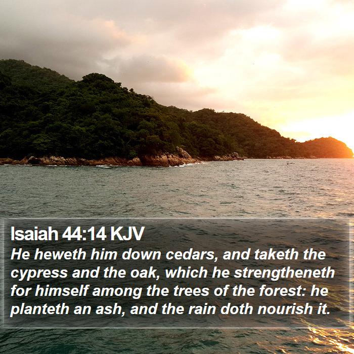 Isaiah 44:14 KJV Bible Study