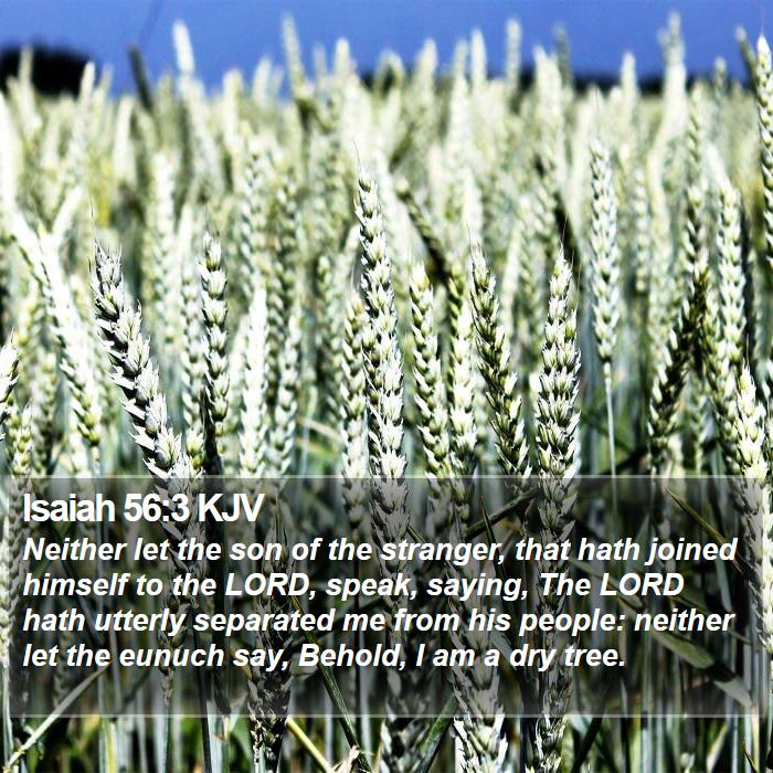 Isaiah 56:3 KJV Bible Study