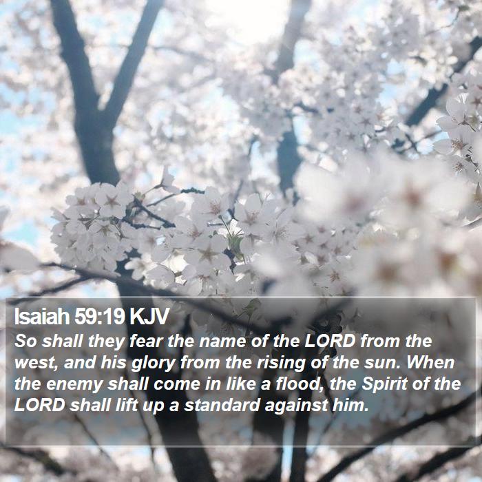 Isaiah 59:19 KJV Bible Study