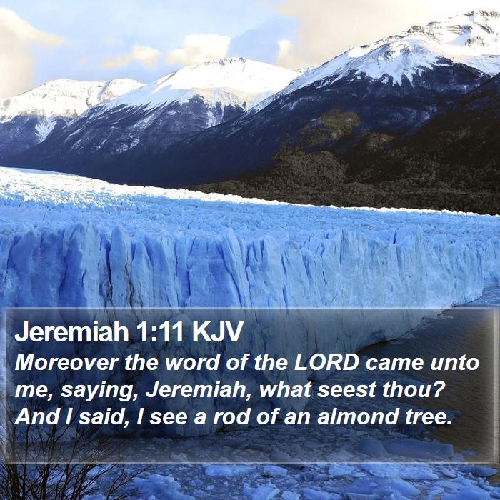 Jeremiah 1:11 KJV Bible Study