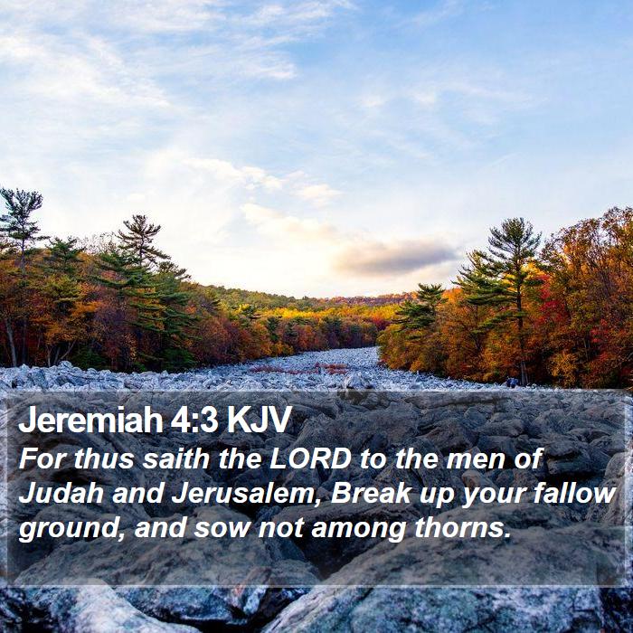 Jeremiah 4:3 KJV Bible Study