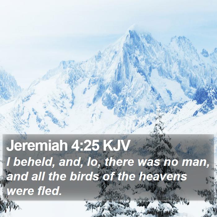 Jeremiah 4:25 KJV Bible Study